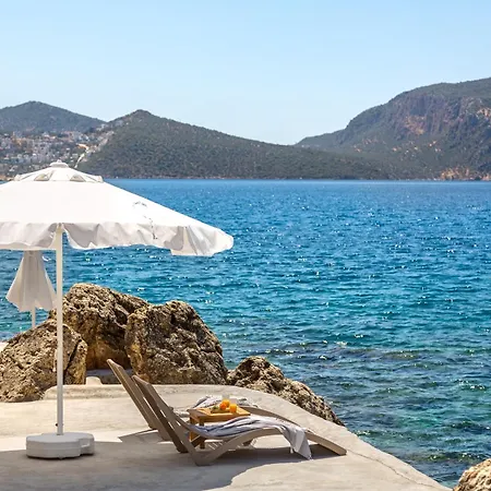 Kalamar 4 * カシュ